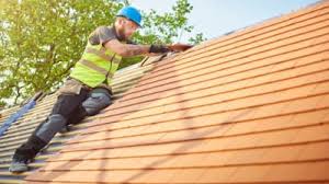 Best Skylight Installation and Repair  in Union Point, GA