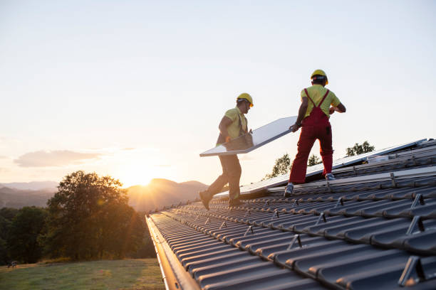 Best Roof Maintenance and Cleaning  in Union Point, GA