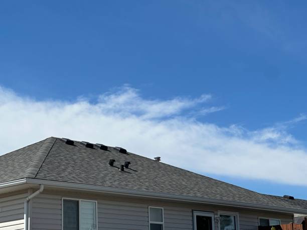 Best Chimney Flashing Repair  in Union Point, GA